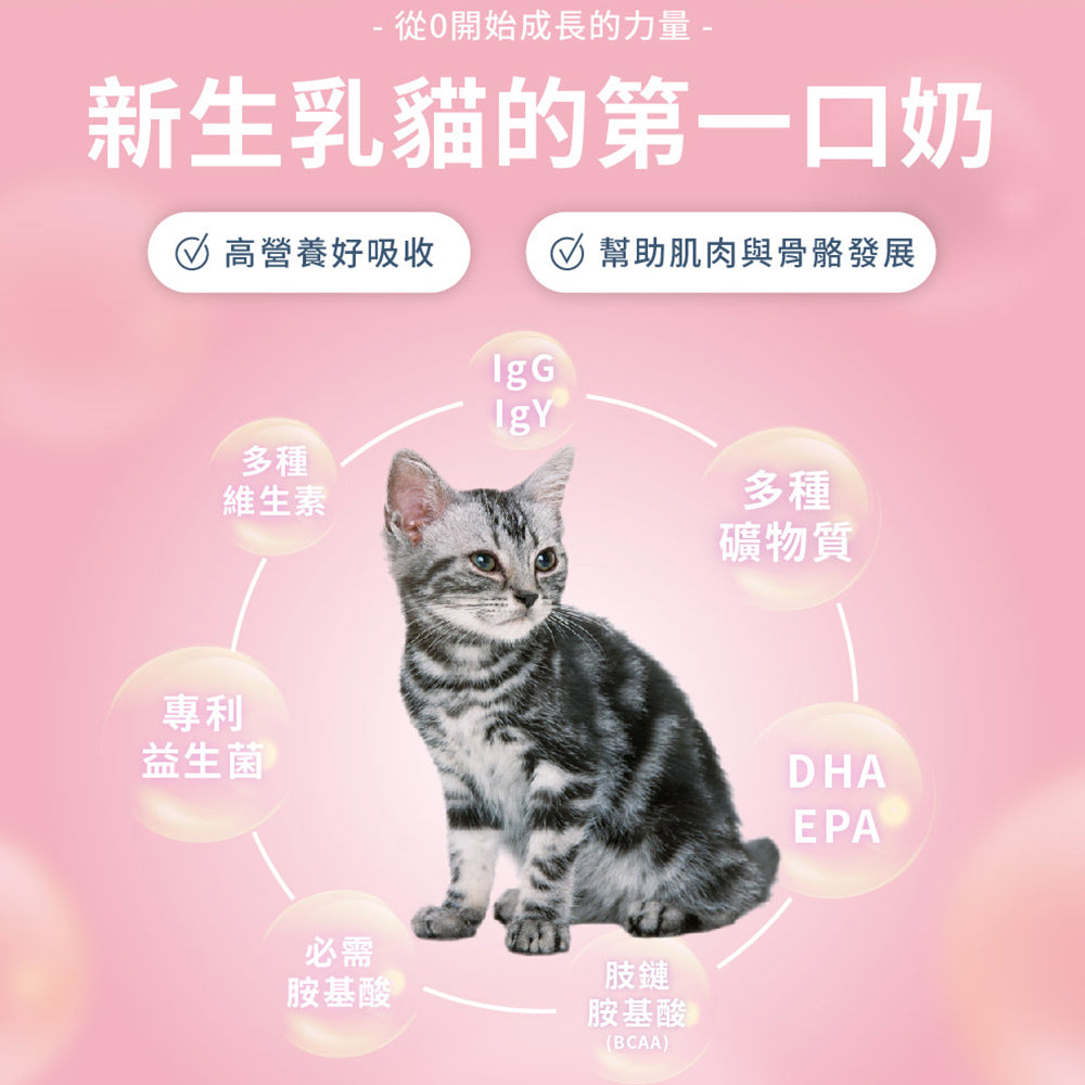 SINGEN 信元發育寶 寵物用奶粉 發育寶-S 貓用奶粉發育寶-S 犬用奶粉200g 寵物奶粉 毛掌櫃寵物