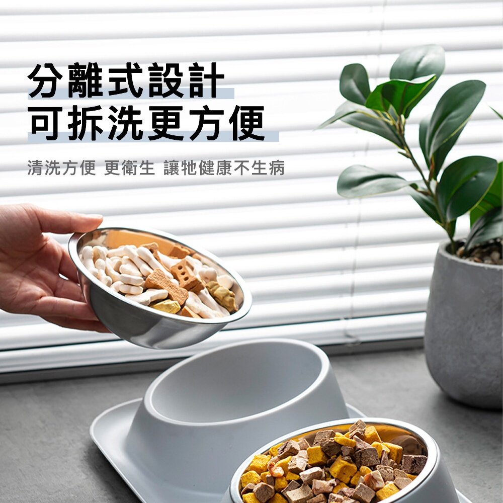 不鏽鋼防蟻雙碗 防蟻碗 防溢碗 寵物碗 狗碗 不銹鋼碗 寵物碗 居家用品