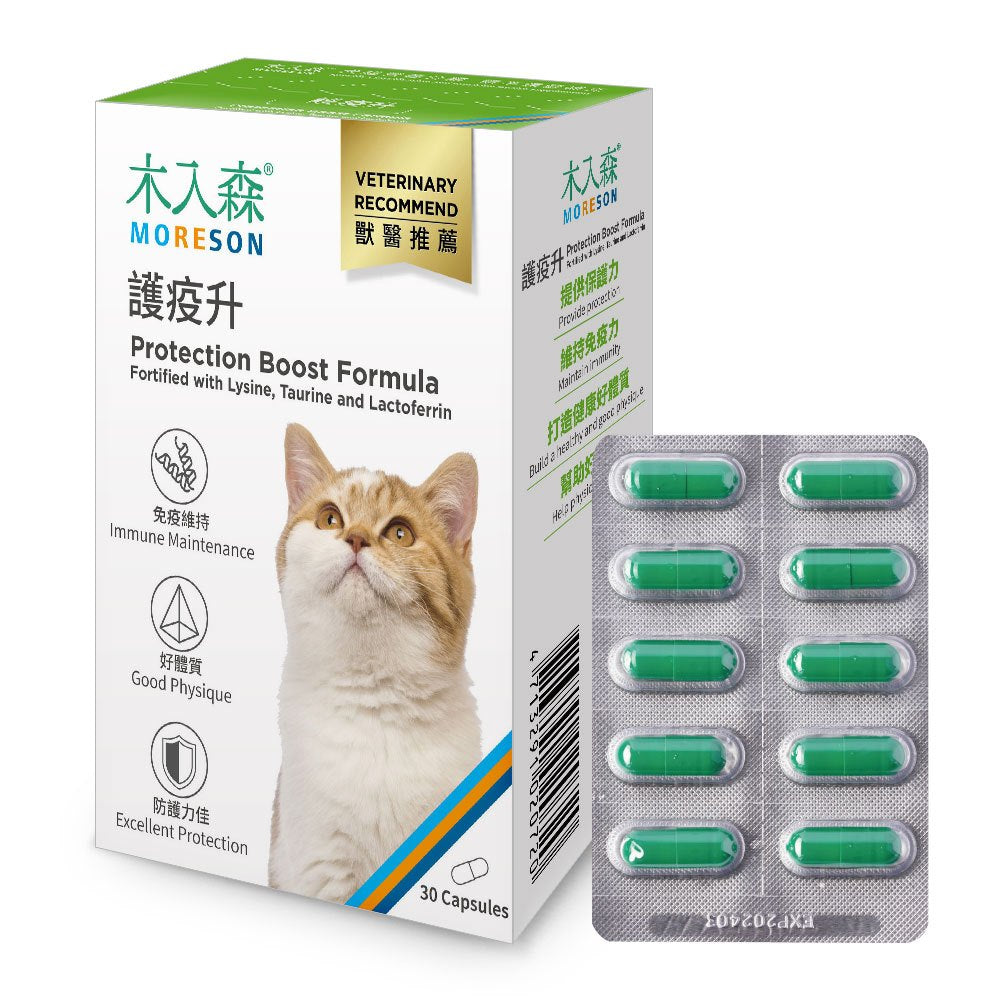 MORESON 木入森 寵物保健品 排毛粉 益生菌 離胺酸 骨骼 鈣 皮膚 關節 眼睛 心臟 保健品 Moreson