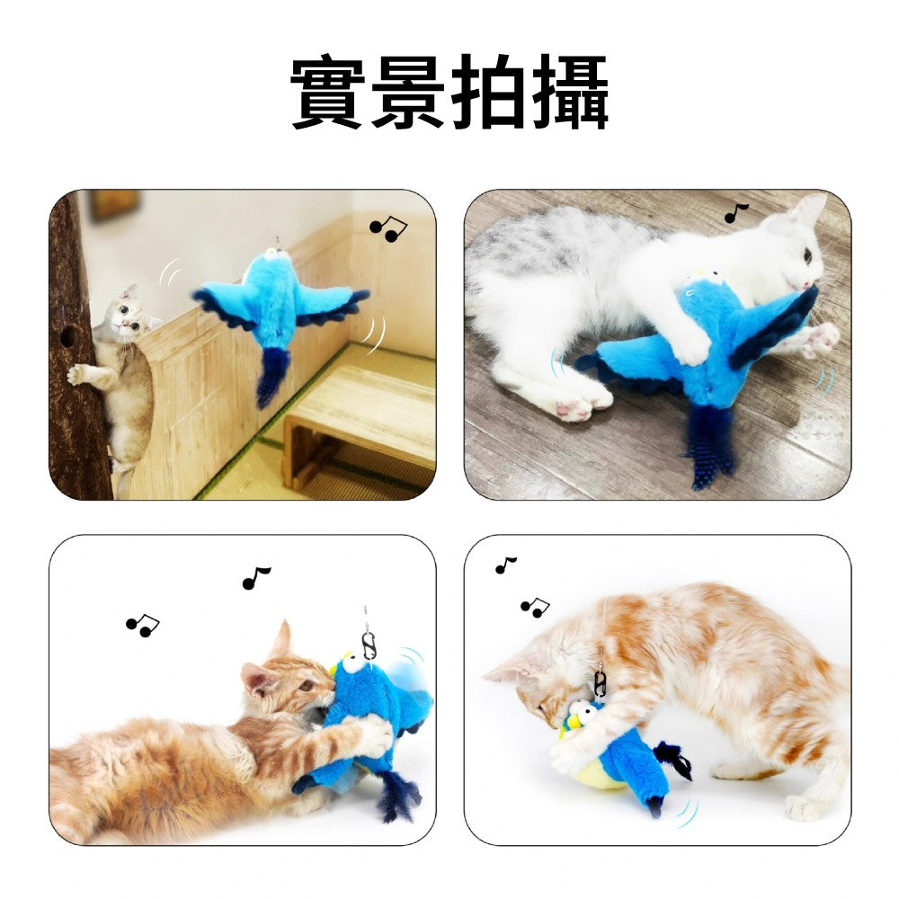 抖抖鳥電動玩具 寵物玩具 逗貓玩具 仿真玩具 逗貓棒替換頭 貓玩具 電動抖抖鳥 貓草包