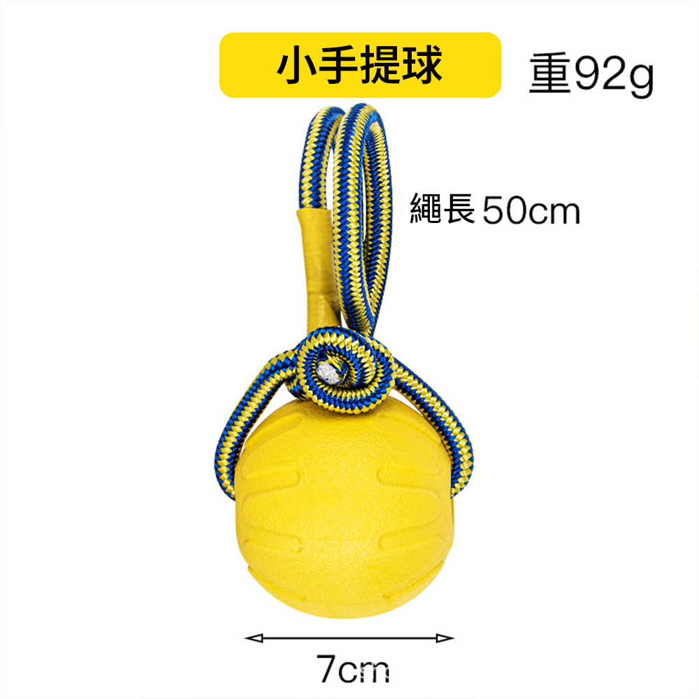 BIIITE 浮水耐咬玩具 寵物 玩具球 狗狗 浮水 訓犬 耐咬 磨牙 寵物球 穿繩球