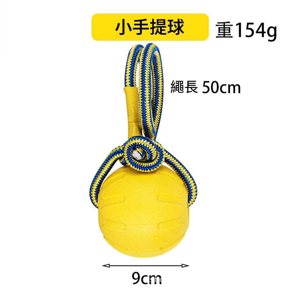 BIIITE 浮水耐咬玩具 寵物 玩具球 狗狗 浮水 訓犬 耐咬 磨牙 寵物球 穿繩球