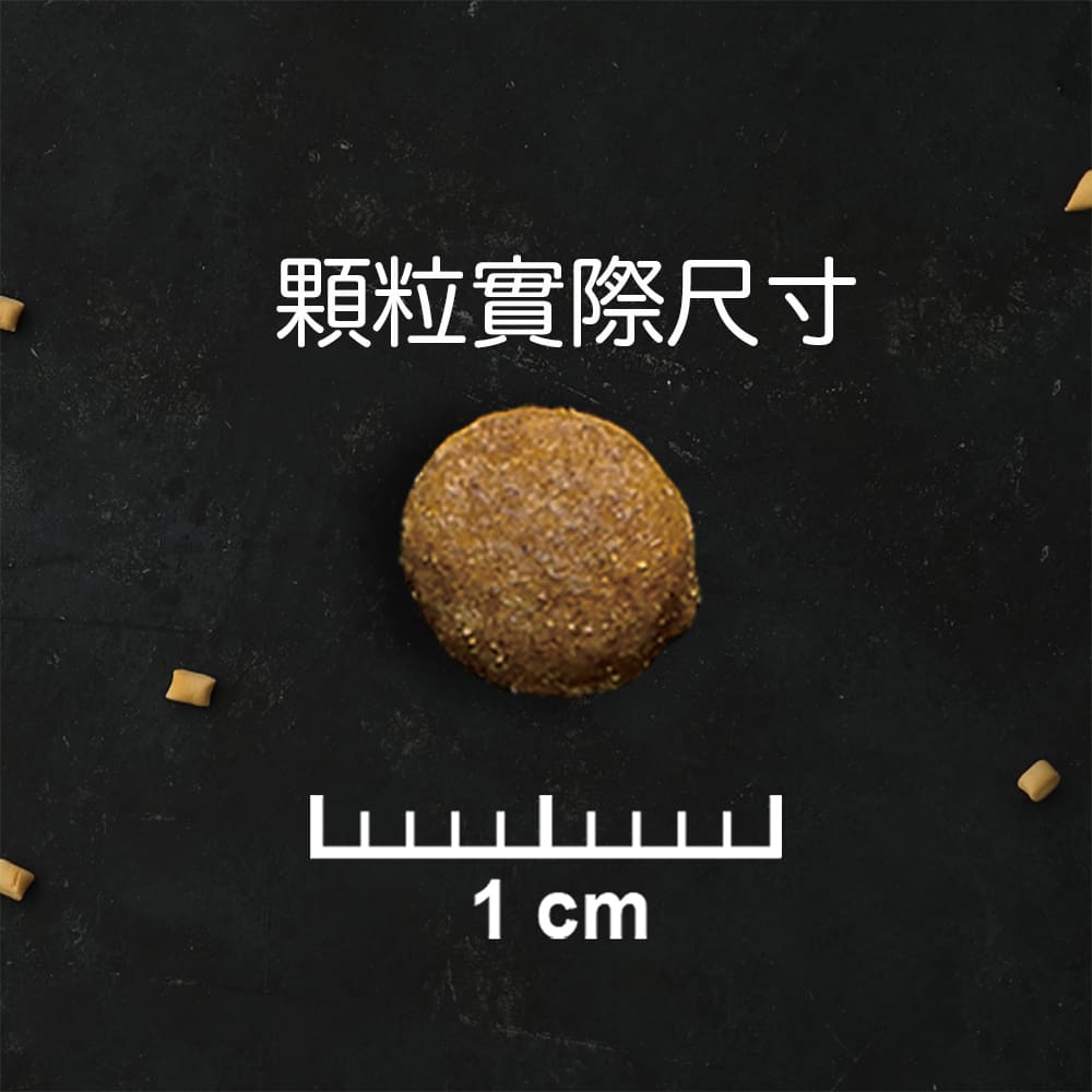 TAPAZO 特百滋 凍乾雙饗宴貓飼料 貓糧 雞肉 鮭魚配方 凍乾飼料 凍乾 貓飼料 毛掌櫃寵物
