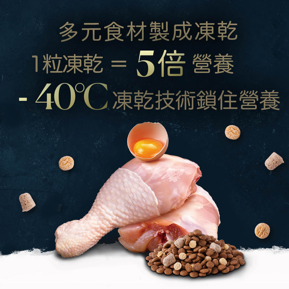 TAPAZO 特百滋 凍乾雙饗宴貓飼料 貓糧 雞肉 鮭魚配方 凍乾飼料 凍乾 貓飼料 毛掌櫃寵物