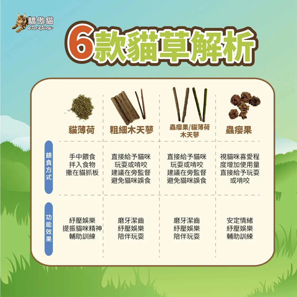 驕傲貓 貓薄荷 木天蓼 蟲癭果 貓草 貓零食 貓紓壓 貓磨牙 毛大二寵物店