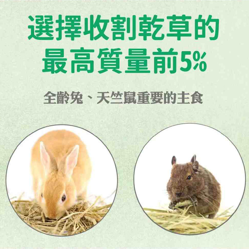 Pet Village 魔法村 美國特級提摩西牧草 400g (初割 第2割 兔子牧草 兔子飼料 寵物牧草)