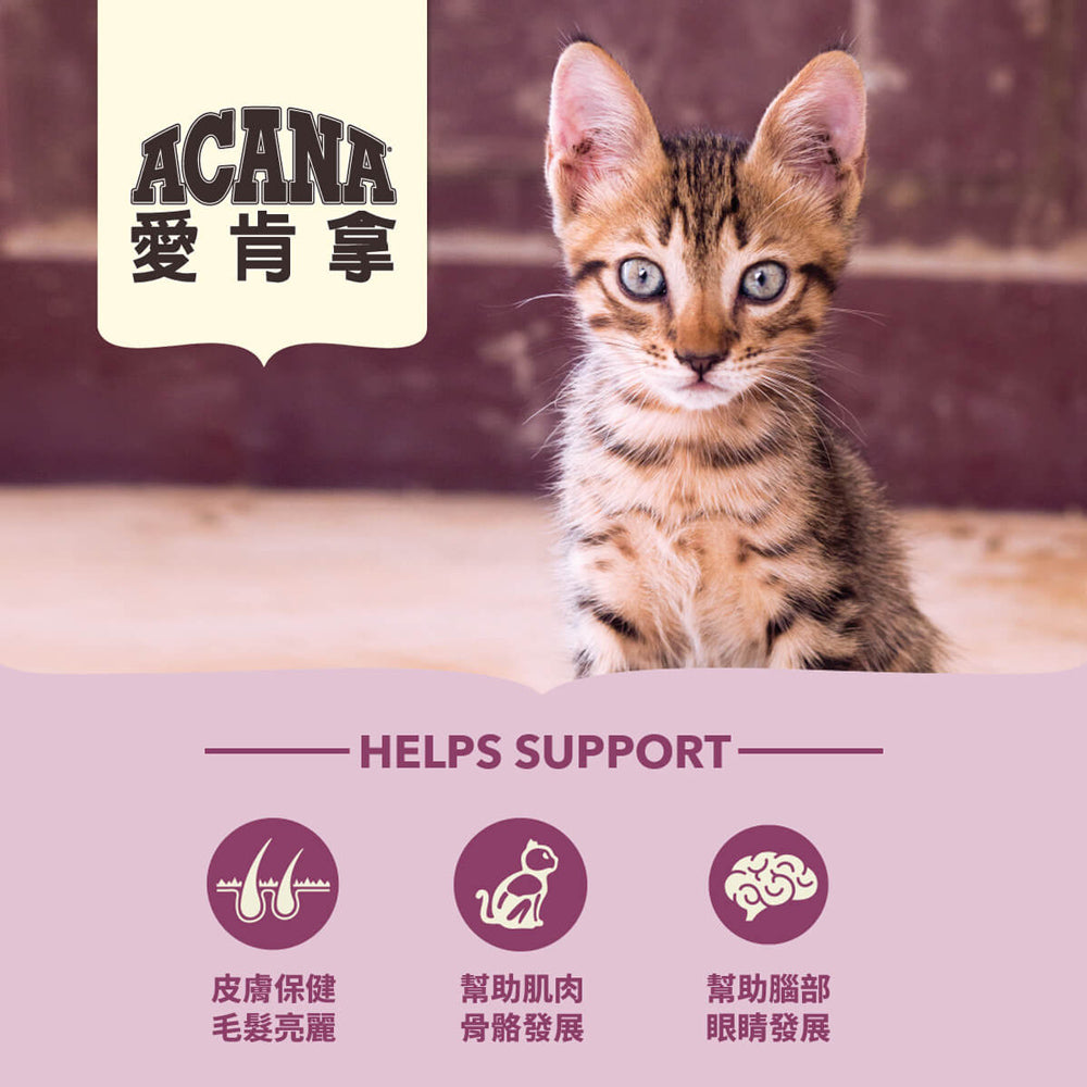 愛肯拿ACANA 無榖貓糧 全品項 1.8kg 4.5kg 貓飼料 低GI 貓糧 毛掌櫃寵物