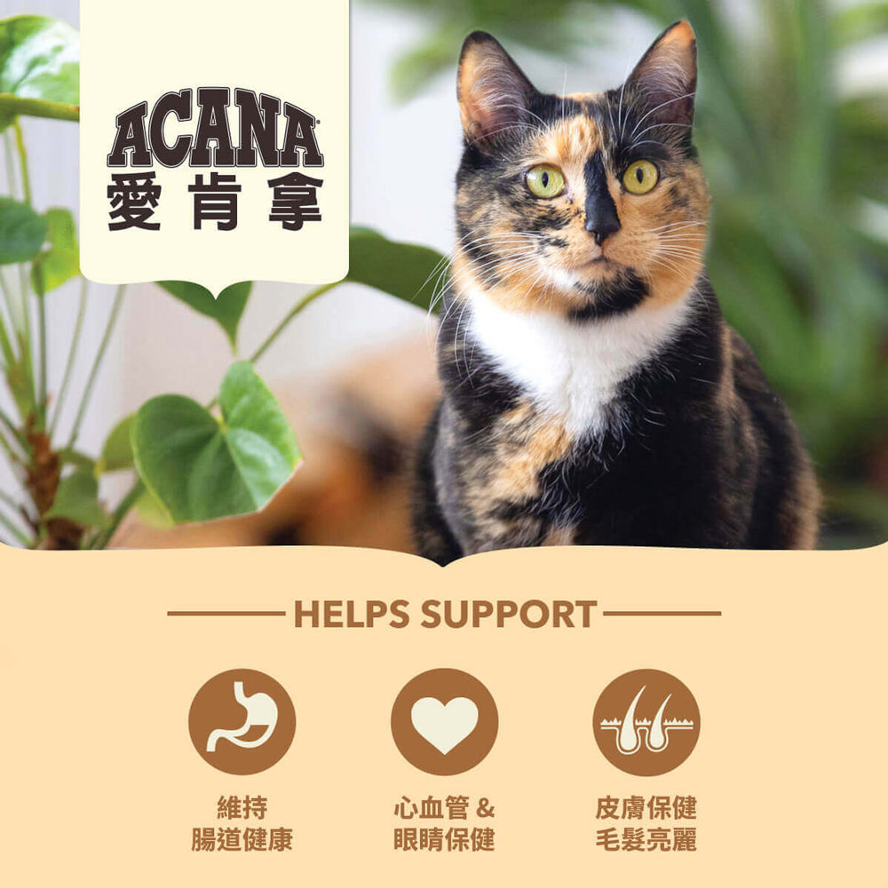 愛肯拿ACANA 無榖貓糧 全品項 1.8kg 4.5kg 貓飼料 低GI 貓糧 毛掌櫃寵物