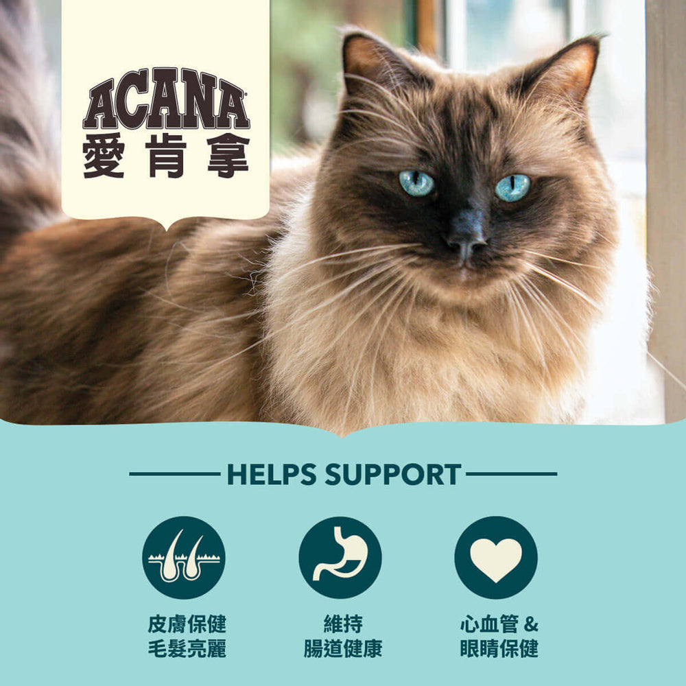 愛肯拿ACANA 無榖貓糧 全品項 1.8kg 4.5kg 貓飼料 低GI 貓糧 毛掌櫃寵物
