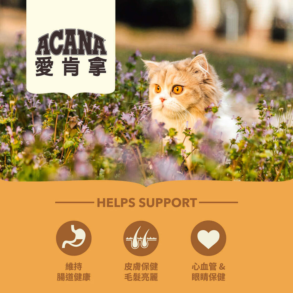 愛肯拿ACANA 無榖貓糧 全品項 1.8kg 4.5kg 貓飼料 低GI 貓糧 毛掌櫃寵物