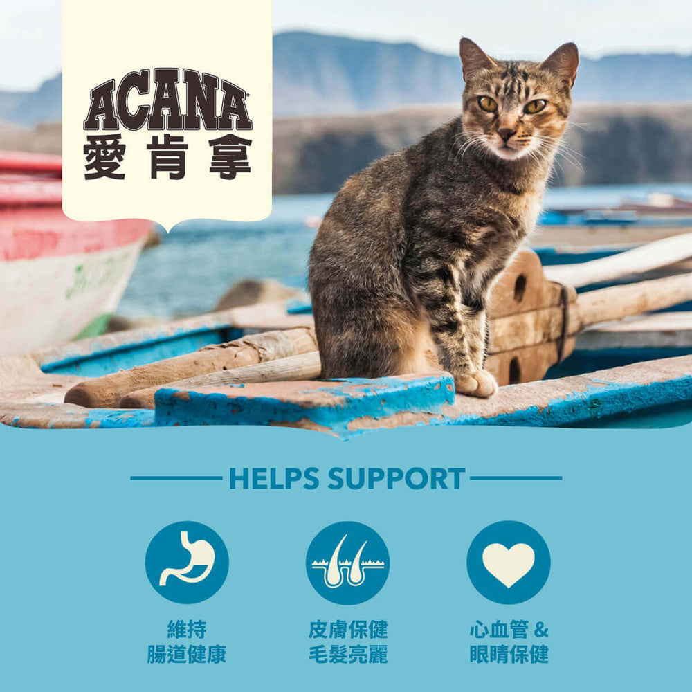 愛肯拿ACANA 無榖貓糧 全品項 1.8kg 4.5kg 貓飼料 低GI 貓糧 毛掌櫃寵物