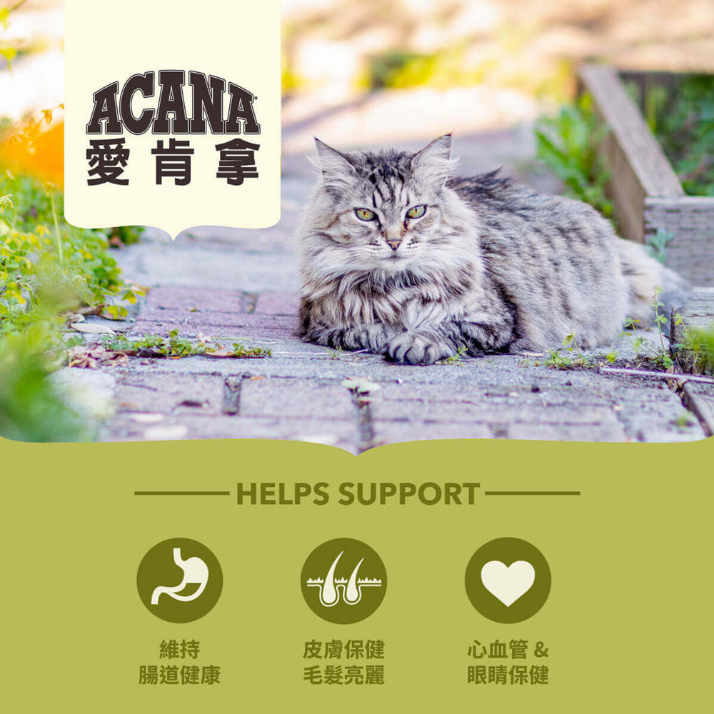 愛肯拿ACANA 無榖貓糧 全品項 1.8kg 4.5kg 貓飼料 低GI 貓糧 毛掌櫃寵物