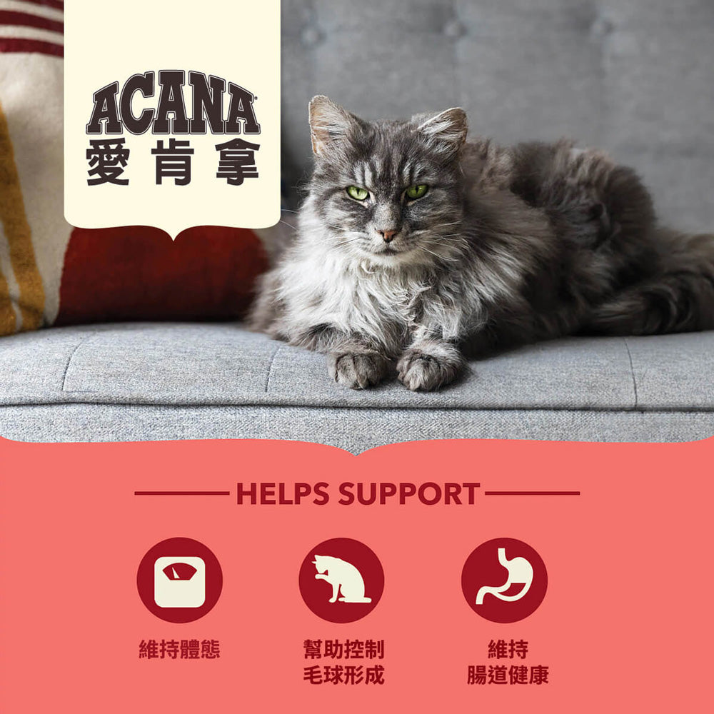 愛肯拿ACANA 無榖貓糧 全品項 1.8kg 4.5kg 貓飼料 低GI 貓糧 毛掌櫃寵物