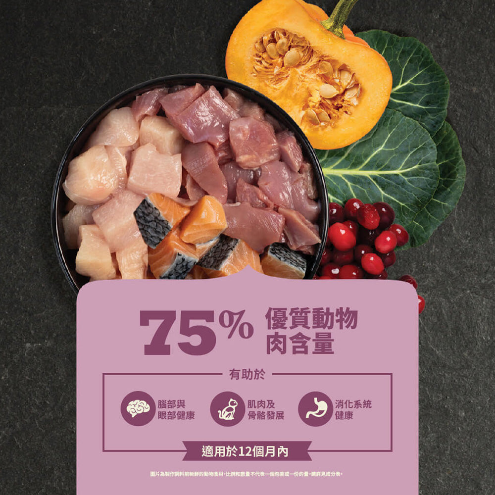 愛肯拿ACANA 無榖貓糧 全品項 1.8kg 4.5kg 貓飼料 低GI 貓糧 毛掌櫃寵物