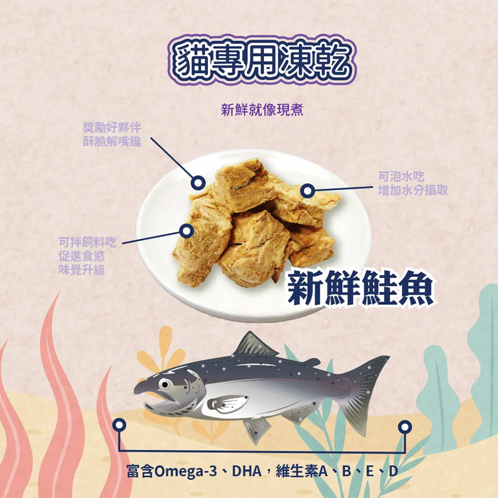 Astar AM 阿曼特 貓專用零食 鱈魚香絲 小魚乾 AM-326 331 375 貓零食