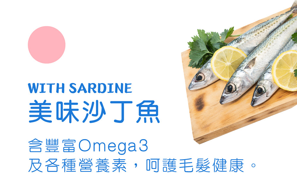 Daily Delight 爵士貓吧 爵士貓 主食罐 貓主食罐 貓咪主食罐 貓 貓罐頭 肉泥 化毛罐 毛掌櫃寵物