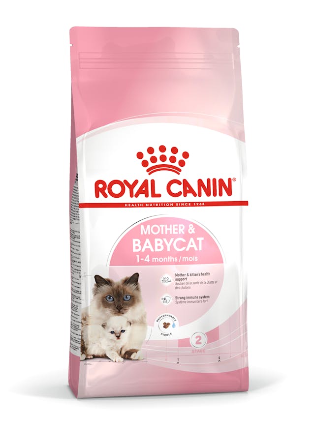 法國 皇家 ROYAL CANIN 貓飼料 貓糧 貓咪飼料 成貓 幼貓 離乳貓 母貓