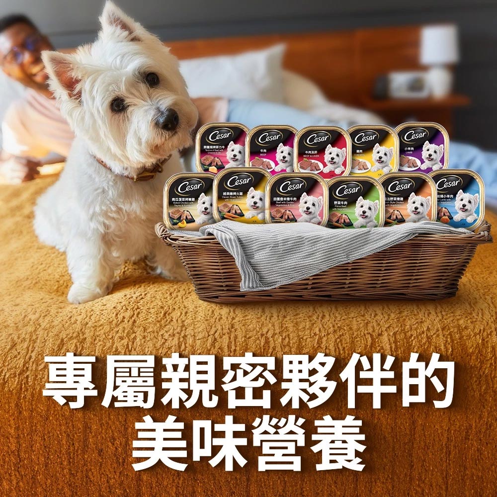 西莎 精緻風味餐盒 西莎狗餐盒 狗餐盒 狗罐 狗罐頭 寵物 寵物鮮食