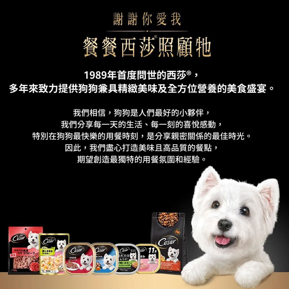 西莎 精緻風味餐盒 西莎狗餐盒 狗餐盒 狗罐 狗罐頭 寵物 寵物鮮食