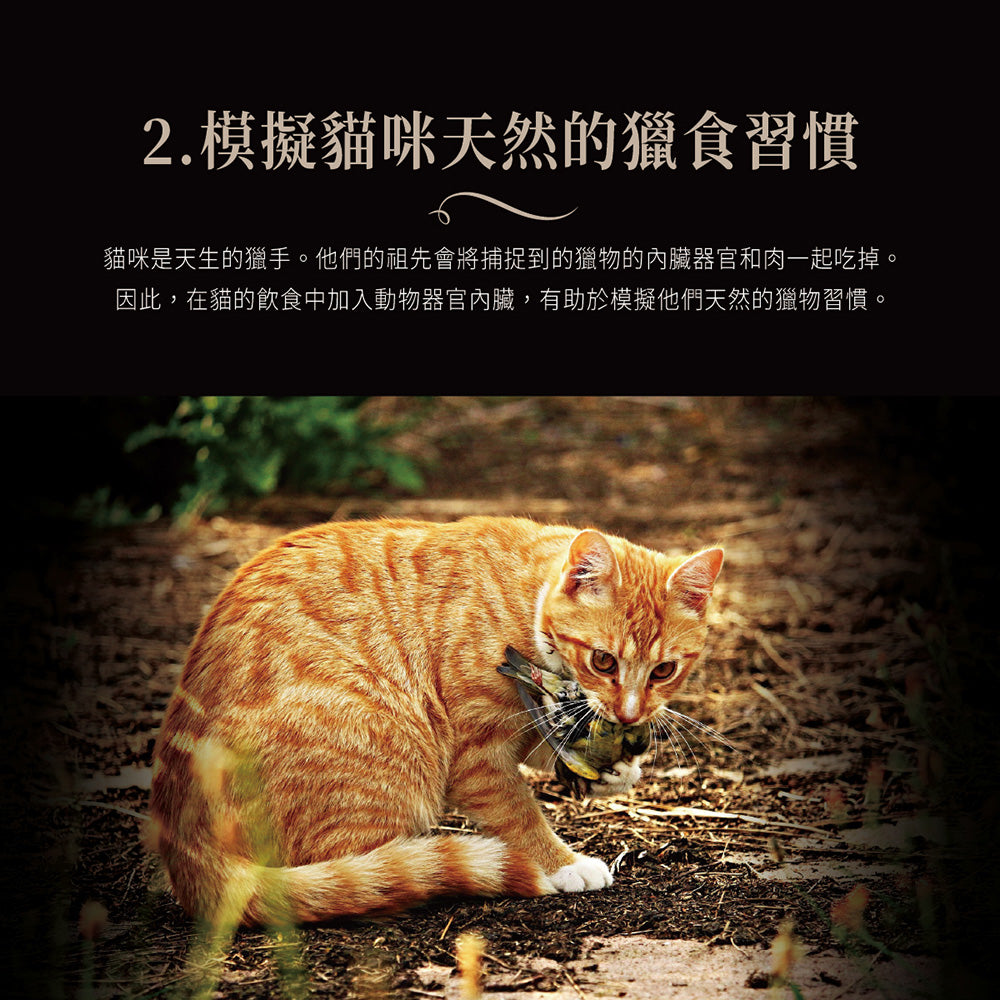 Cherie法麗全照護主食肉泥 貓肉泥
