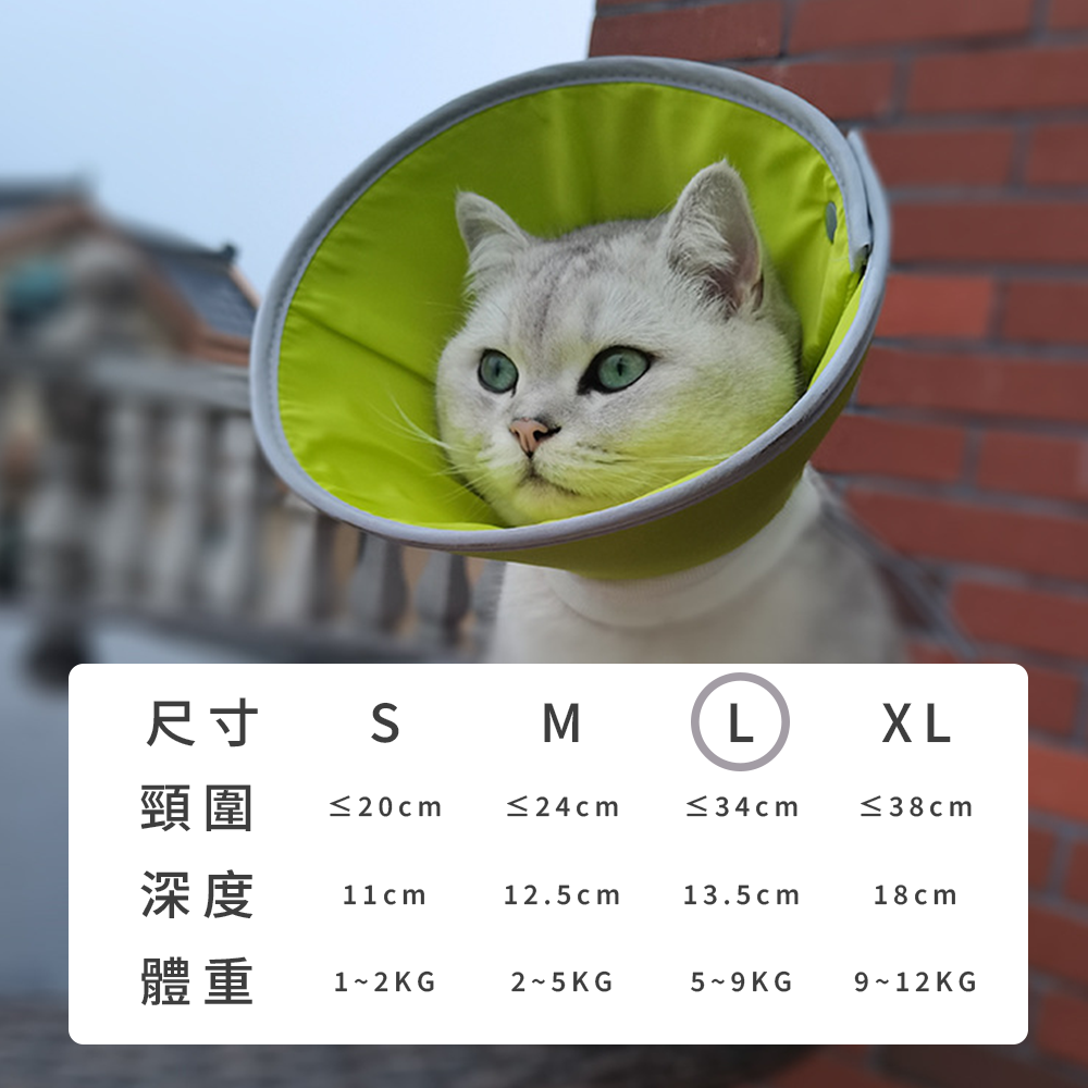 SHAME反光伊莉莎白圈 伊麗莎白圈 貓咪 防舔咬 頸圈 寵物 絕育 項圈 狗狗 術後 傷口 護理 項圈