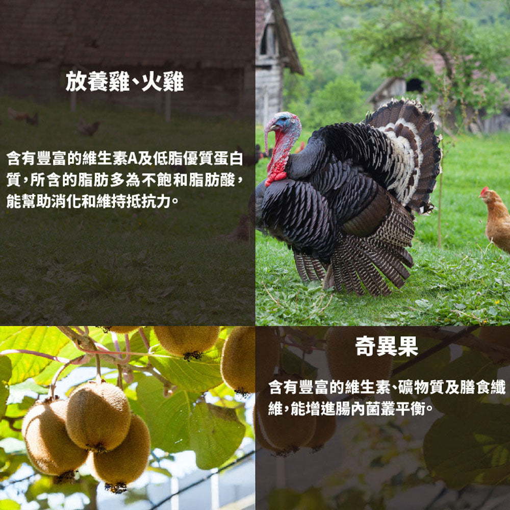 Livin Wild 野宴 紐西蘭無穀 狗飼料 犬糧 無穀狗飼料 無穀犬糧