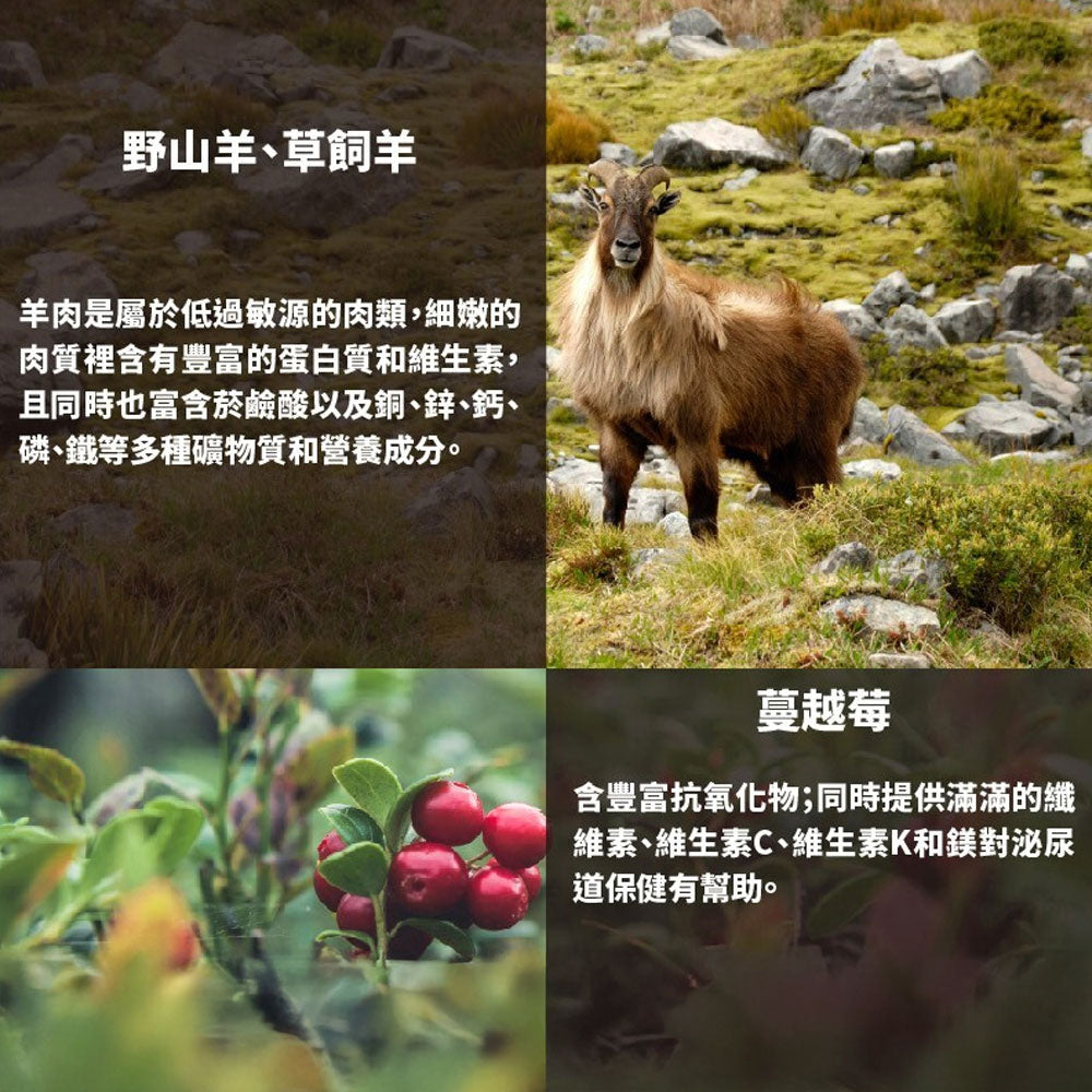 Livin Wild 野宴 紐西蘭無穀 貓飼料 貓糧 無穀貓飼料 無穀貓糧