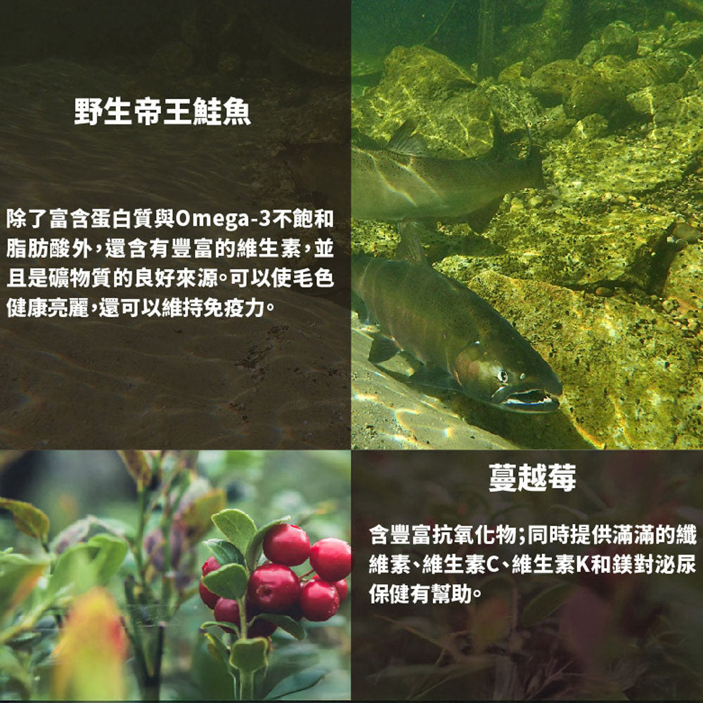 Livin Wild 野宴 紐西蘭無穀 貓飼料 貓糧 無穀貓飼料 無穀貓糧