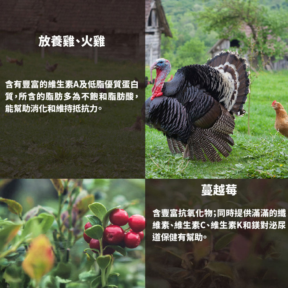 Livin Wild 野宴 紐西蘭無穀 貓飼料 貓糧 無穀貓飼料 無穀貓糧