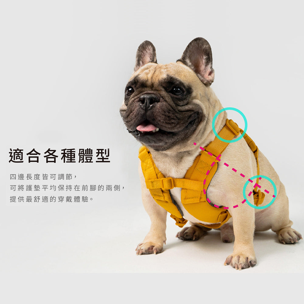 斯普尼克 SPUTNIK Explore 胸背帶 寵物胸背帶 外出 外出用品