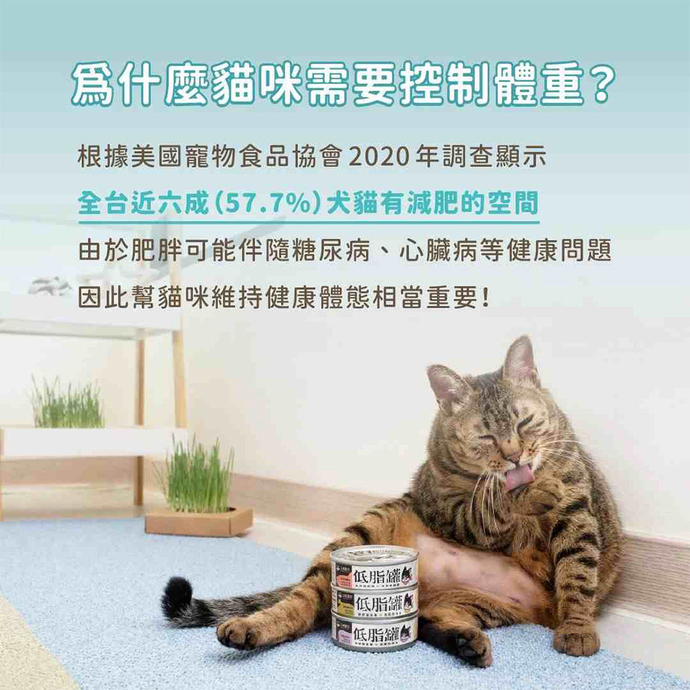 汪喵星球 貓咪低脂無膠主食罐80g 主食罐 全齡貓 貓罐頭