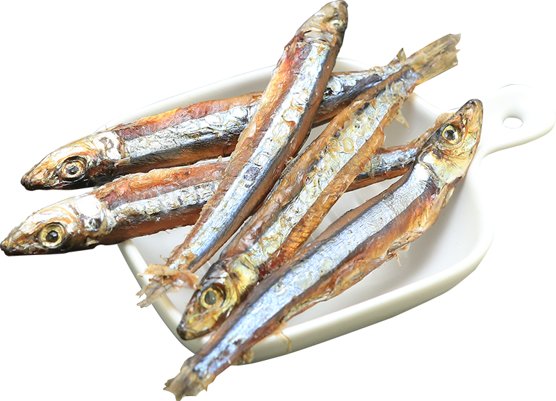 貓吃魚 貓零食(潔牙錠 丁香魚 雞肉條 鮭魚)