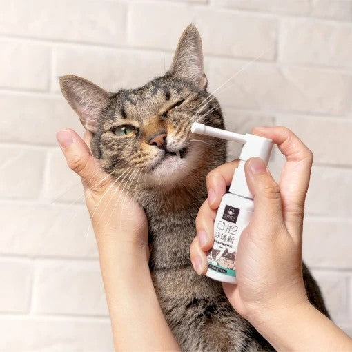 汪喵星球 潔牙護理酵素30ml 犬貓專用牙刷 寵物刷牙 口腔保健 寵物牙刷 寵物潔牙