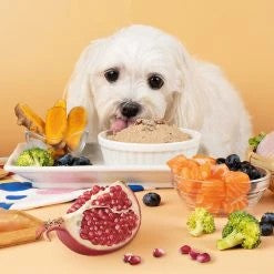 犬用|保健機能主食罐 82G/165G