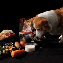 【犬糧】益生菌凍乾晶球糧 | 全齡犬適用