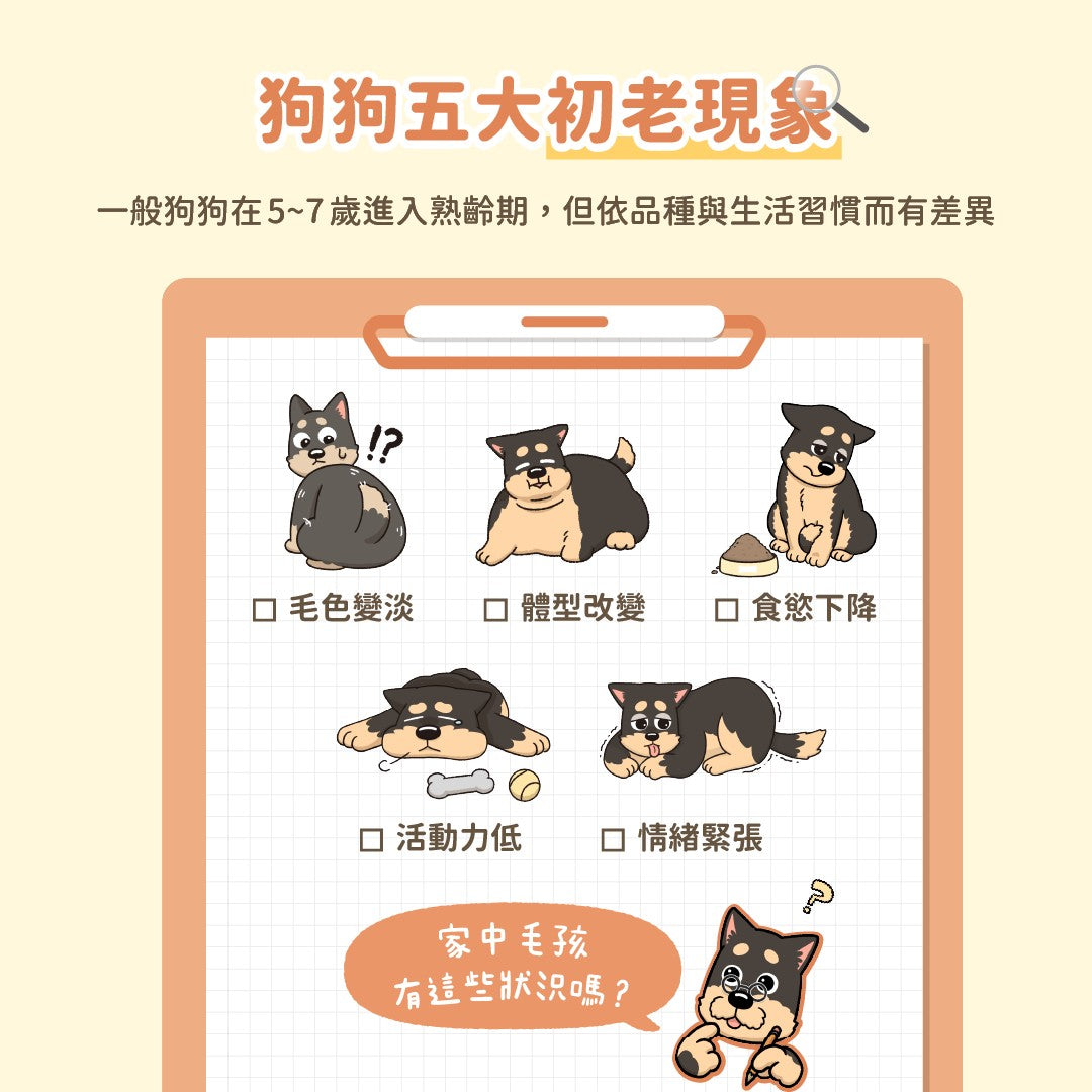 汪喵星球 銀養罐 熟齡犬 無膠銀養主食罐 80g/165g 95%含肉量 狗罐頭 老犬罐
