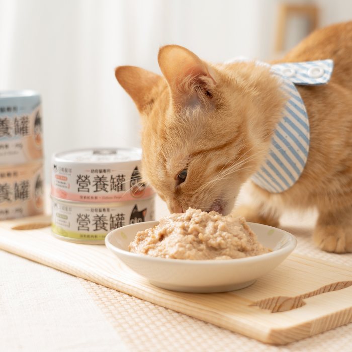 幼母貓無膠營養主食罐