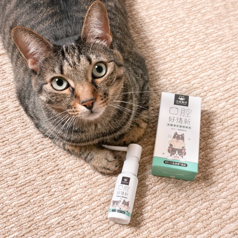 汪喵星球 潔牙護理酵素30ml 犬貓專用牙刷 寵物刷牙 口腔保健 寵物牙刷 寵物潔牙
