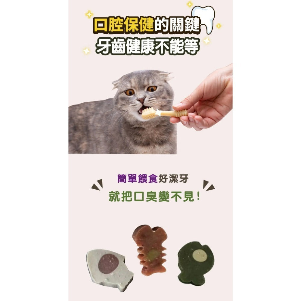 A Star 貓潔牙骨 貓草機能 貓零食 潔牙錠 寵物潔牙骨