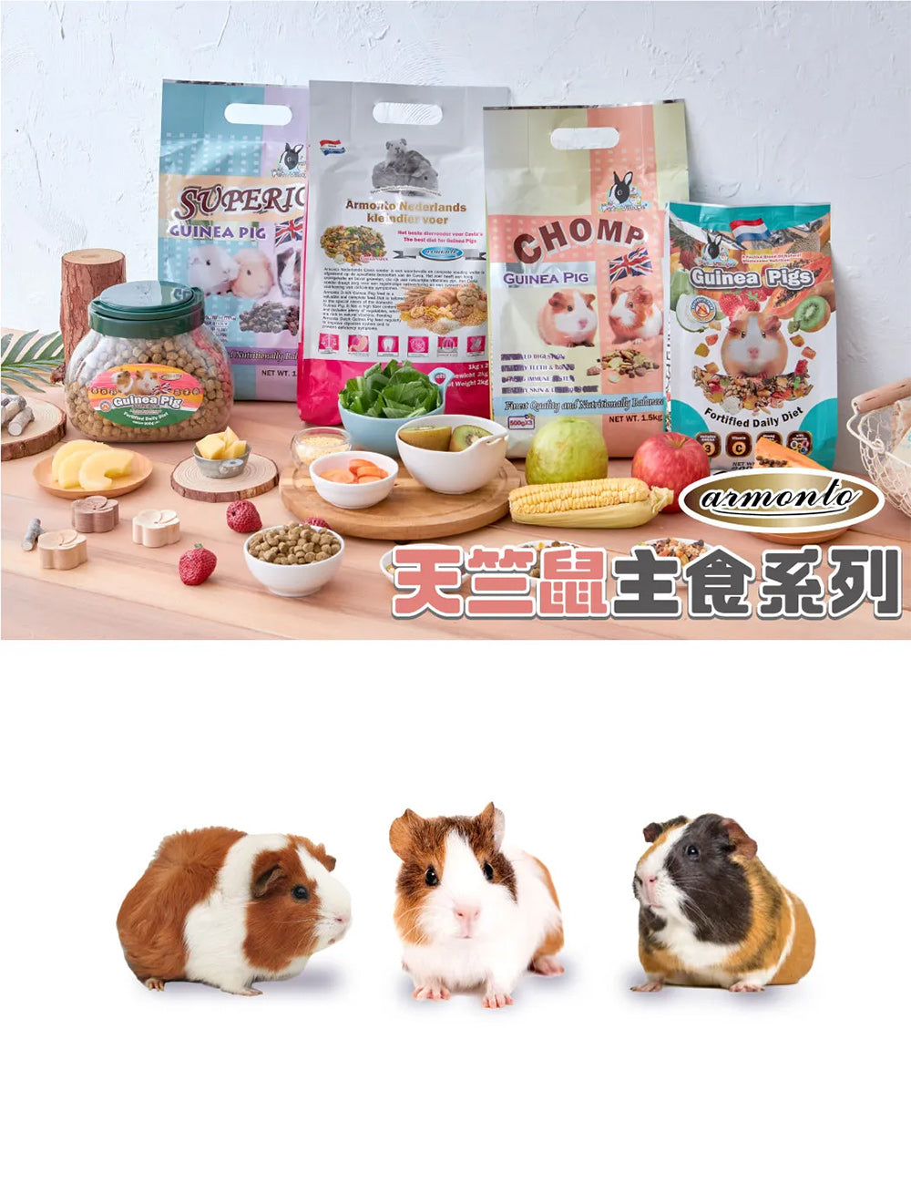 Armonto 阿曼特 AM 天竺鼠 特級機能天竺鼠主食 天竺鼠飼料