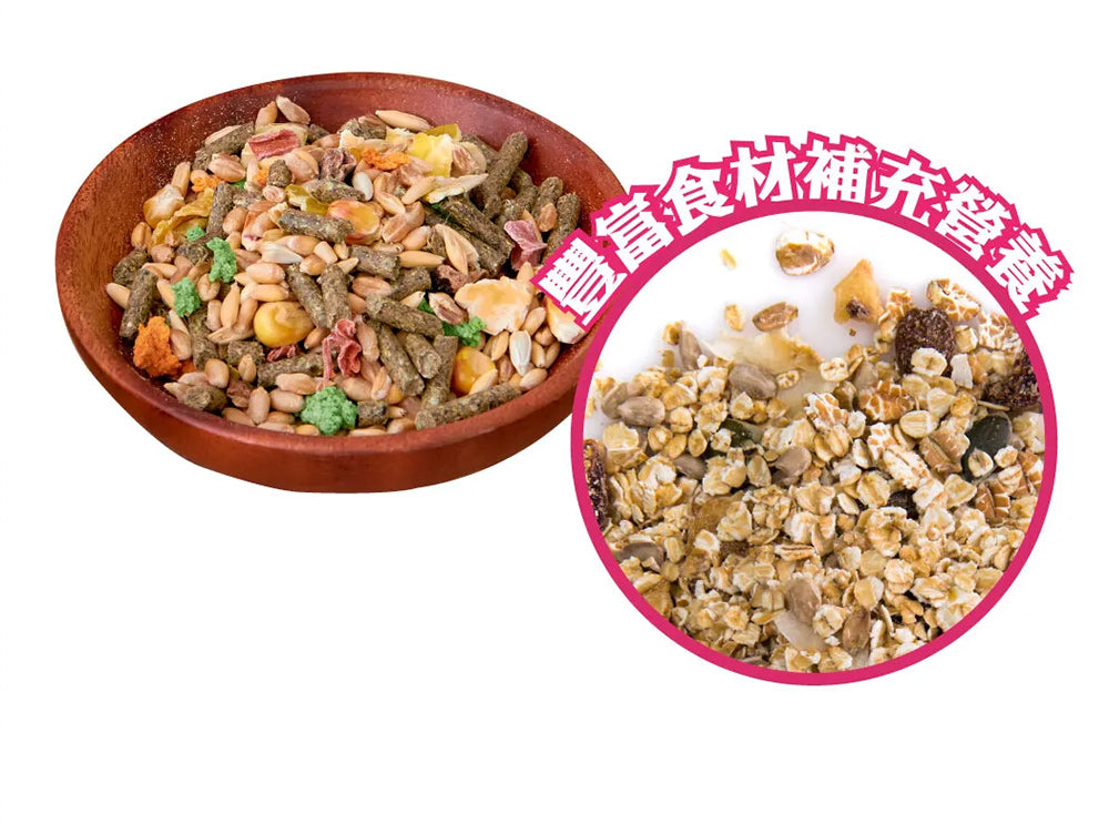 Armonto 阿曼特 AM 天竺鼠 特級機能天竺鼠主食 天竺鼠飼料
