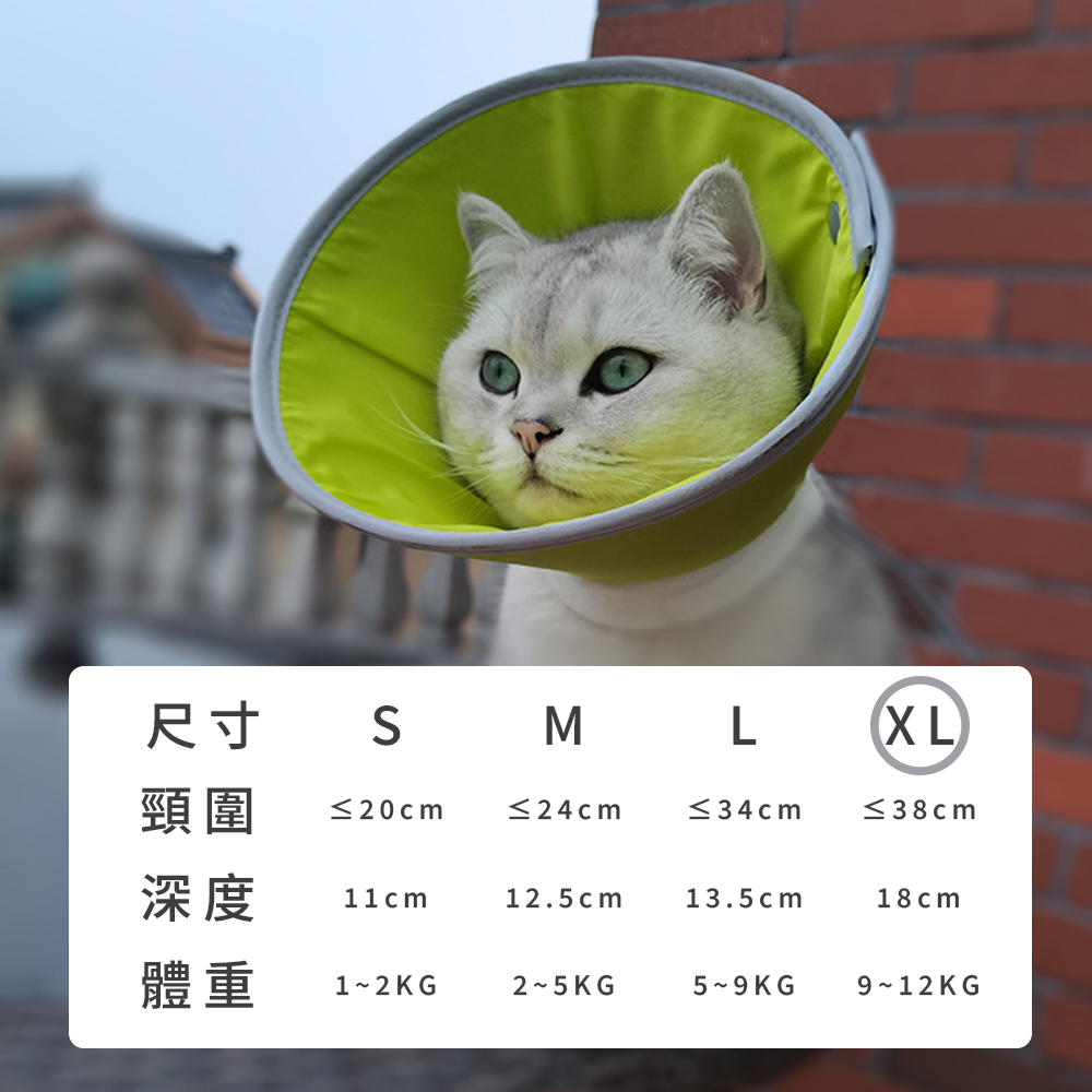 SHAME反光伊莉莎白圈 伊麗莎白圈 貓咪 防舔咬 頸圈 寵物 絕育 項圈 狗狗 術後 傷口 護理 項圈