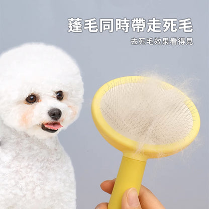 Sloppup 馬卡龍橢圓梳 狗狗梳毛專用梳子 毛髮美容梳 寵物解結去浮毛造型梳