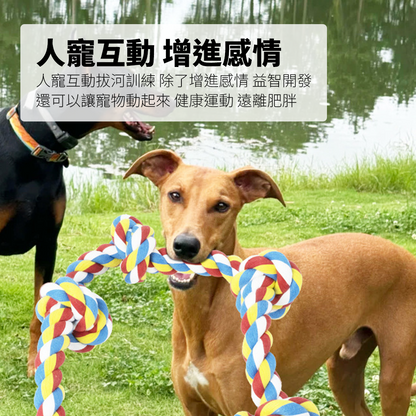 ROOOPE 手工棉繩 中大型犬 大狗狗玩具 寵物磨牙咬繩結 編織五結 寵物玩具 耐咬不易壞