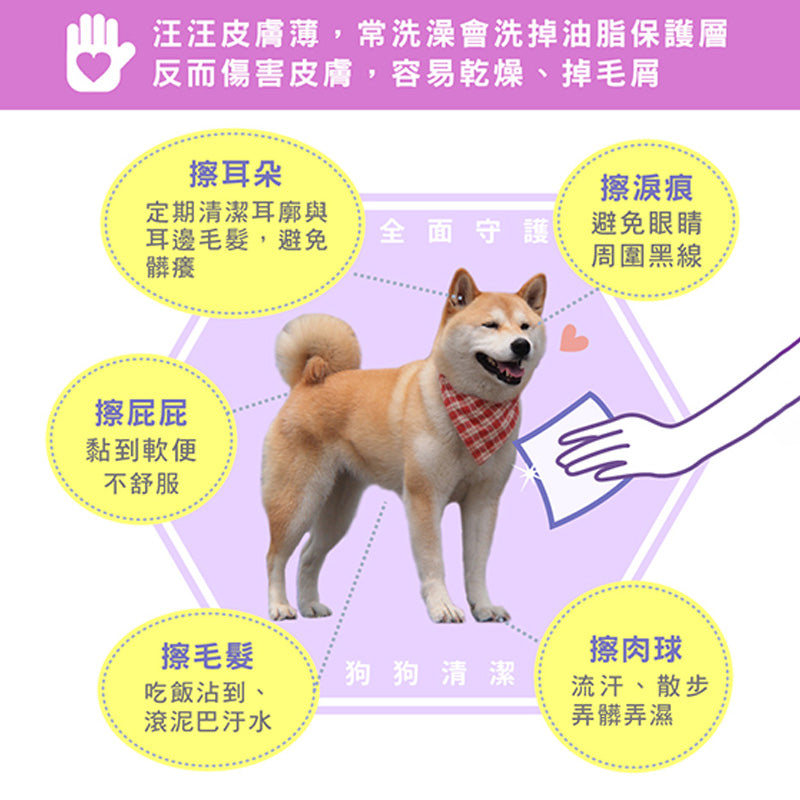 臭味滾 犬貓用濕紙巾 50抽 狗狗濕紙巾 貓咪濕紙巾 臭味滾濕紙巾