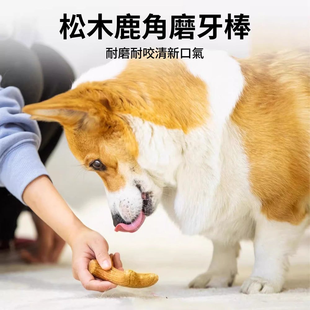 GIGWI木頭鹿角磨牙棒 狗狗玩具 磨牙玩具 寵物玩具 耐咬潔齒 木塑鹿角 耐磨耐咬玩具 潔牙骨頭 寵物用品