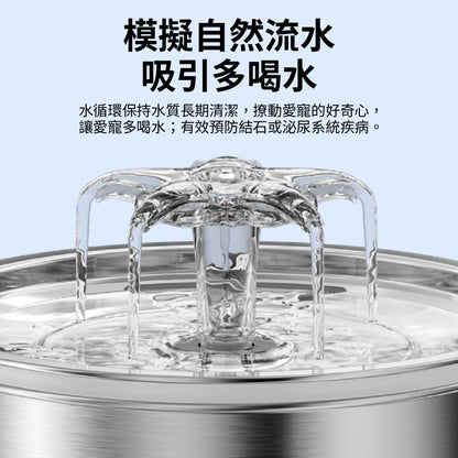 Cooler自動飲水 花朵自動飲水器 不銹鋼 飲水器 自動飲水機 寵物飲水器 貓飲水 狗飲水