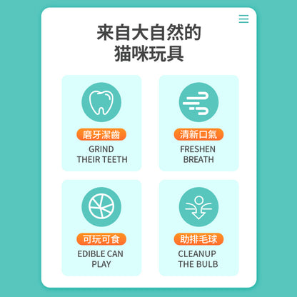 AAC貓薄荷球 貓草球 貓薄荷 貓咪玩具 貓草 貓玩具 逗貓棒 貓草棒 逗貓 木天蓼 逗貓玩具 貓草
