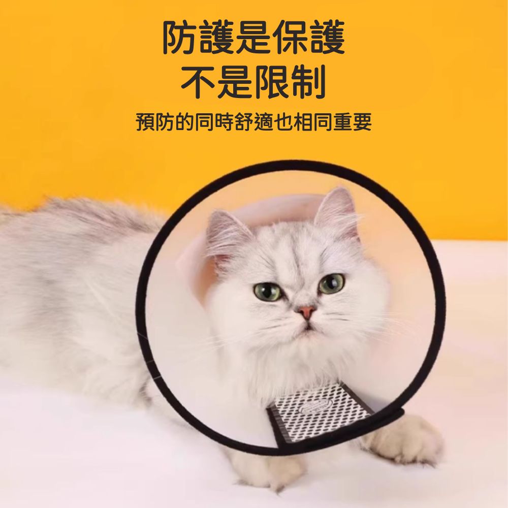 伊莉莎白頸圈 伊莉莎白圈 貓軟頭套 伊麗莎白頭套 寵物頭套 羞恥圈 防舔圈 狗狗頭套 防舔頭套