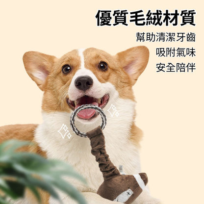 餵根蔬 把手甩甩 狗玩具 發聲玩具 寵物玩具 磨牙潔齒玩具 互動玩具 寵物耐咬玩具